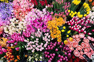 国产VR游戏《迷禁》冬促五折 — 迷雾之中探寻真相